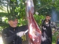 Lergravgaard Bålhytte