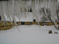 070222-04.jpg